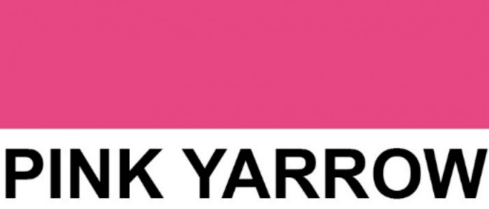 Keep it bold: follow the Summer trends using Pink Rugs!