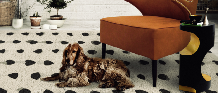 MOST BEAUTIFUL CONTEMPORARY EXOTIC RUGS – Part II