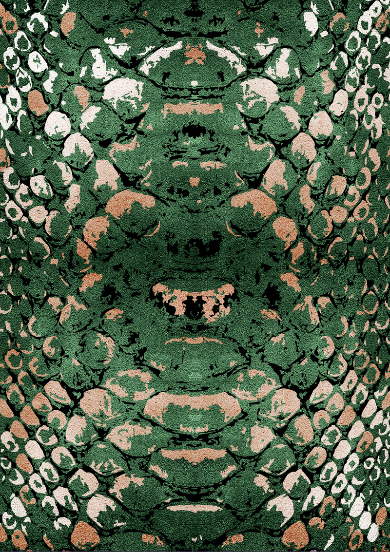 Botanical Rugs green rug called reptilus