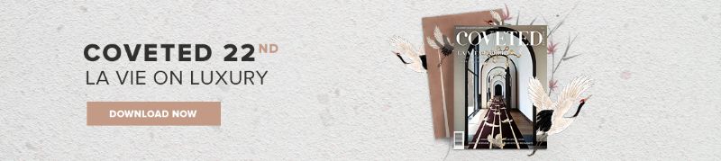 The Best Contemporary Rugs to Compliment your Sofa