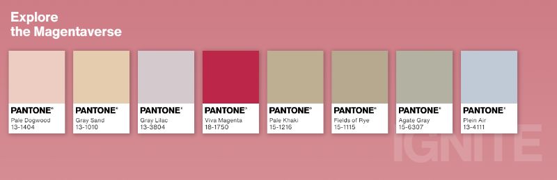 Viva Magenta: Pantone Color Of The Year 2023!