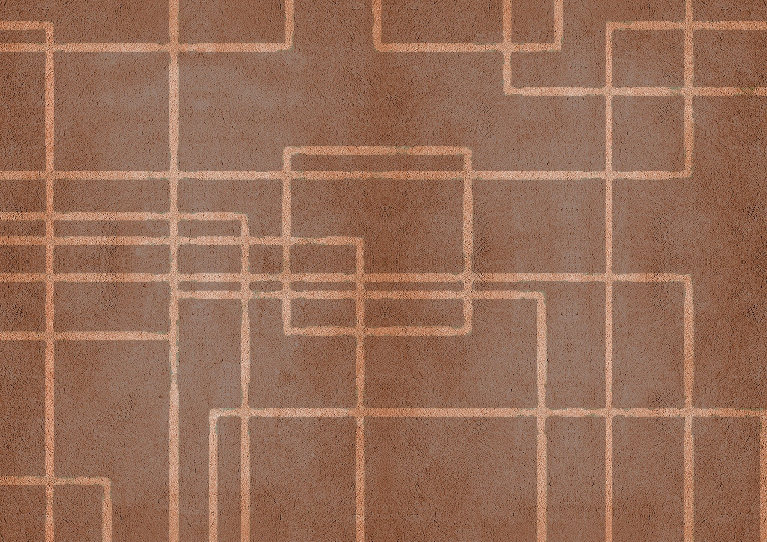 Terracota Rug - How to Incorporate Patterned Rugs In Your Interior?