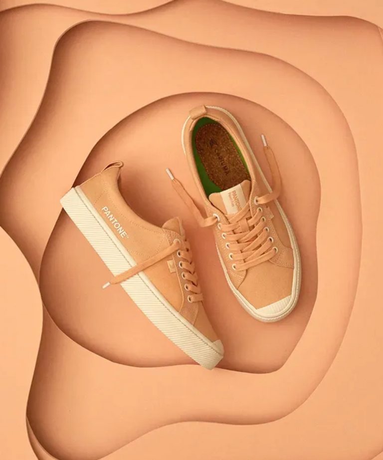 Peach Fuzz 13-1023 - The Pantone Color Of 2024 in Interior Design