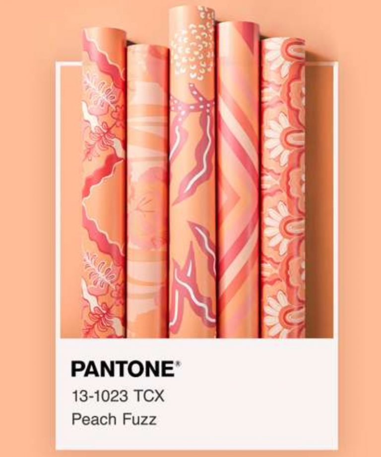 Peach Fuzz 13-1023 - The Pantone Color Of 2024 in Interior Design